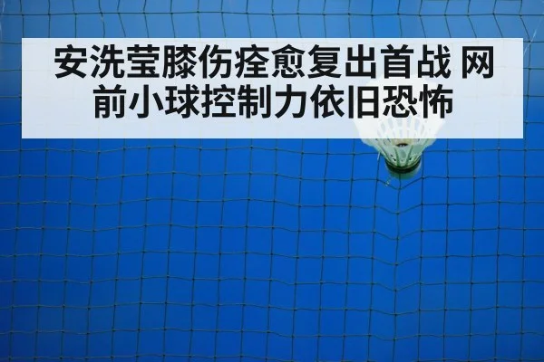 安洗莹膝伤痊愈复出首战 网前小球控制力依旧恐怖